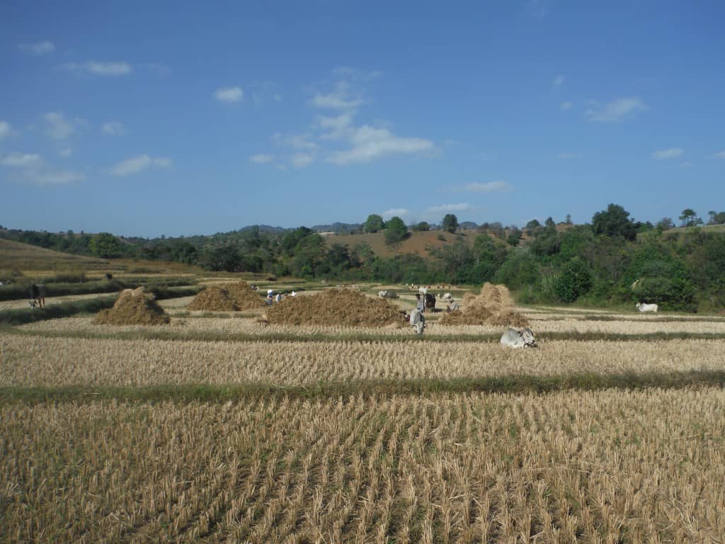 DSCF5837 - Kalaw to Inle Lake Trek