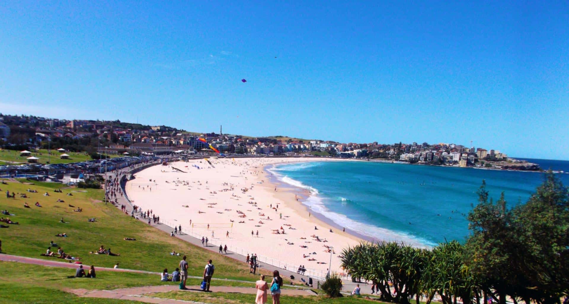 Australian Working Holiday Visa FAQ's