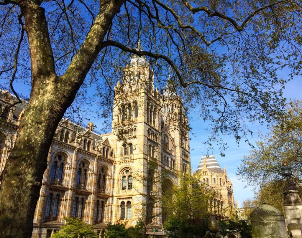 image - 3 Day London Itinerary, Natural History Museum