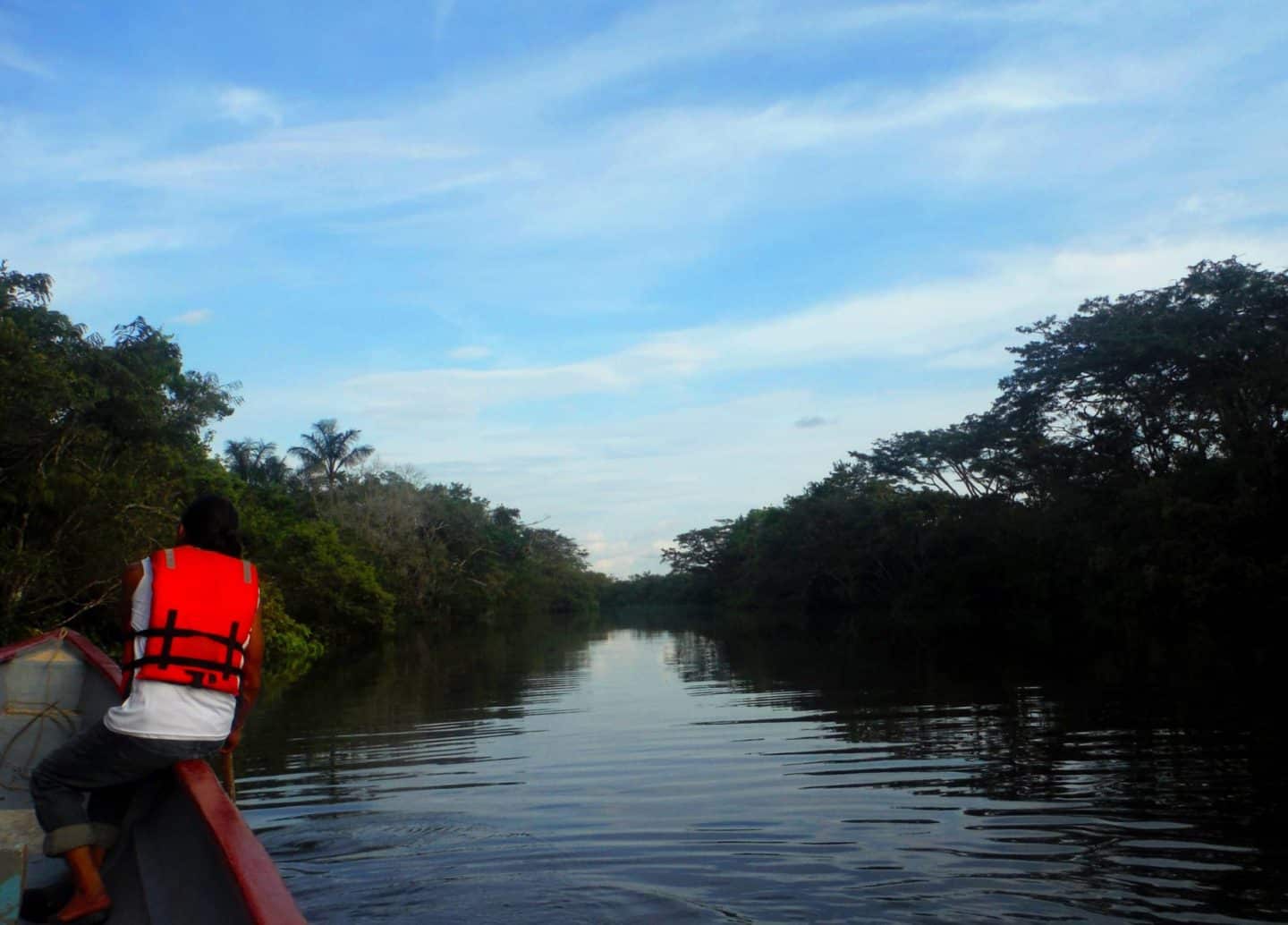 places to visit in South America backpacker, Amazon rainforest ecuador