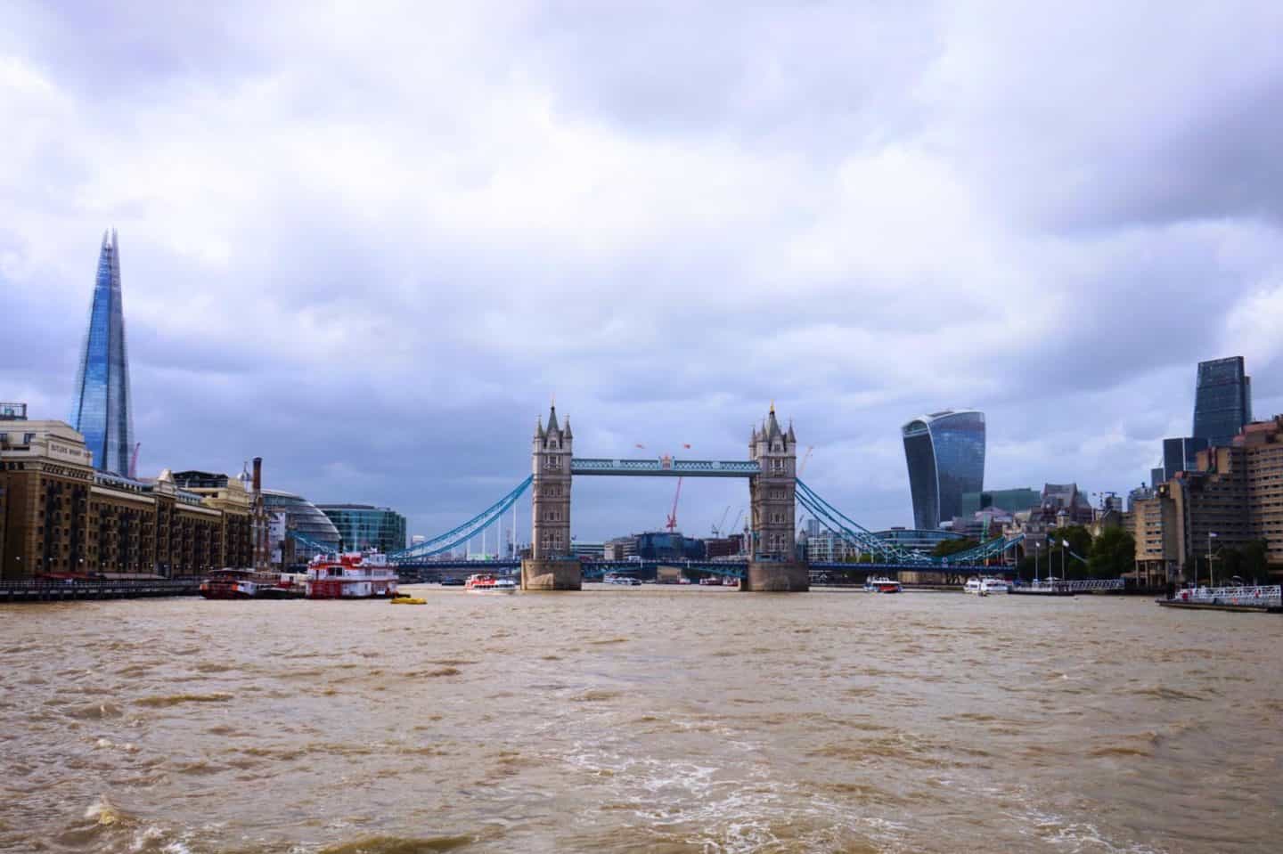 River Thames London Rain - City Cruises Review