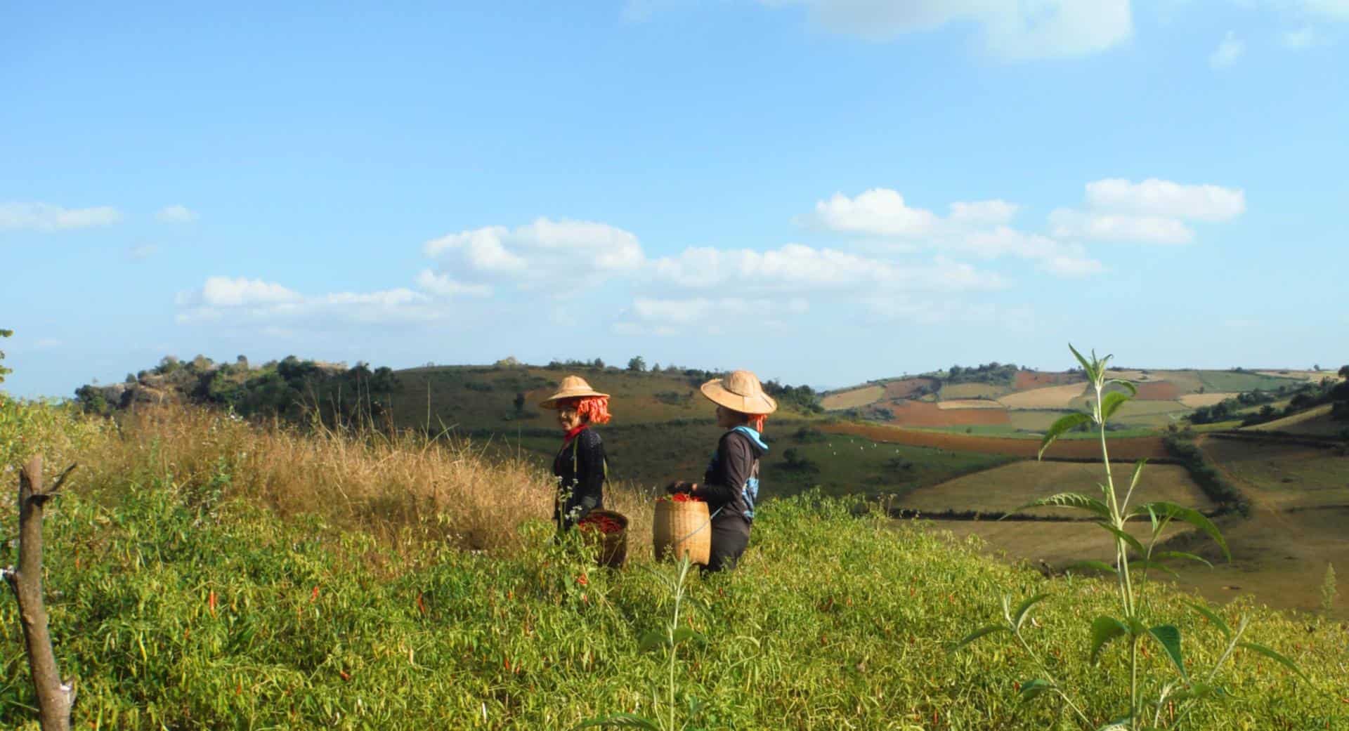 kalaw to inle lake trek