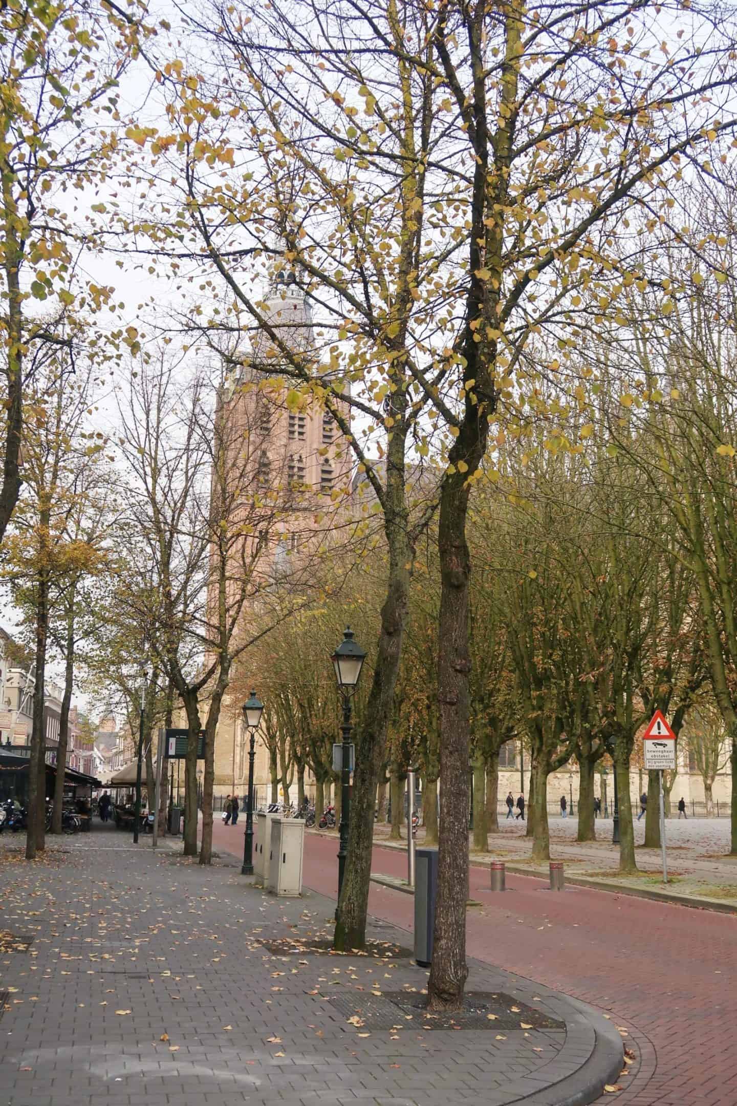 IMG_2856 - one day in Den Bosch, den bosch church