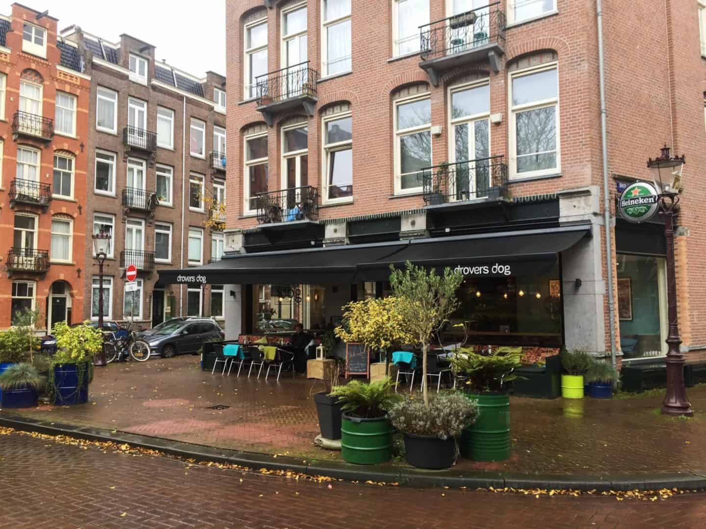 IMG_3086 - Stayokay Amsterdam Zeeburg Review, drovers dog