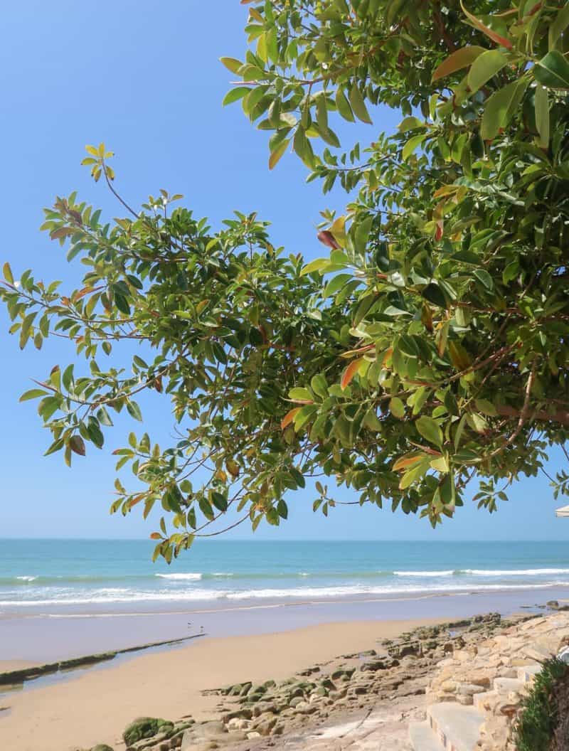Taghazout beach - Taghazout Morocco Village photo