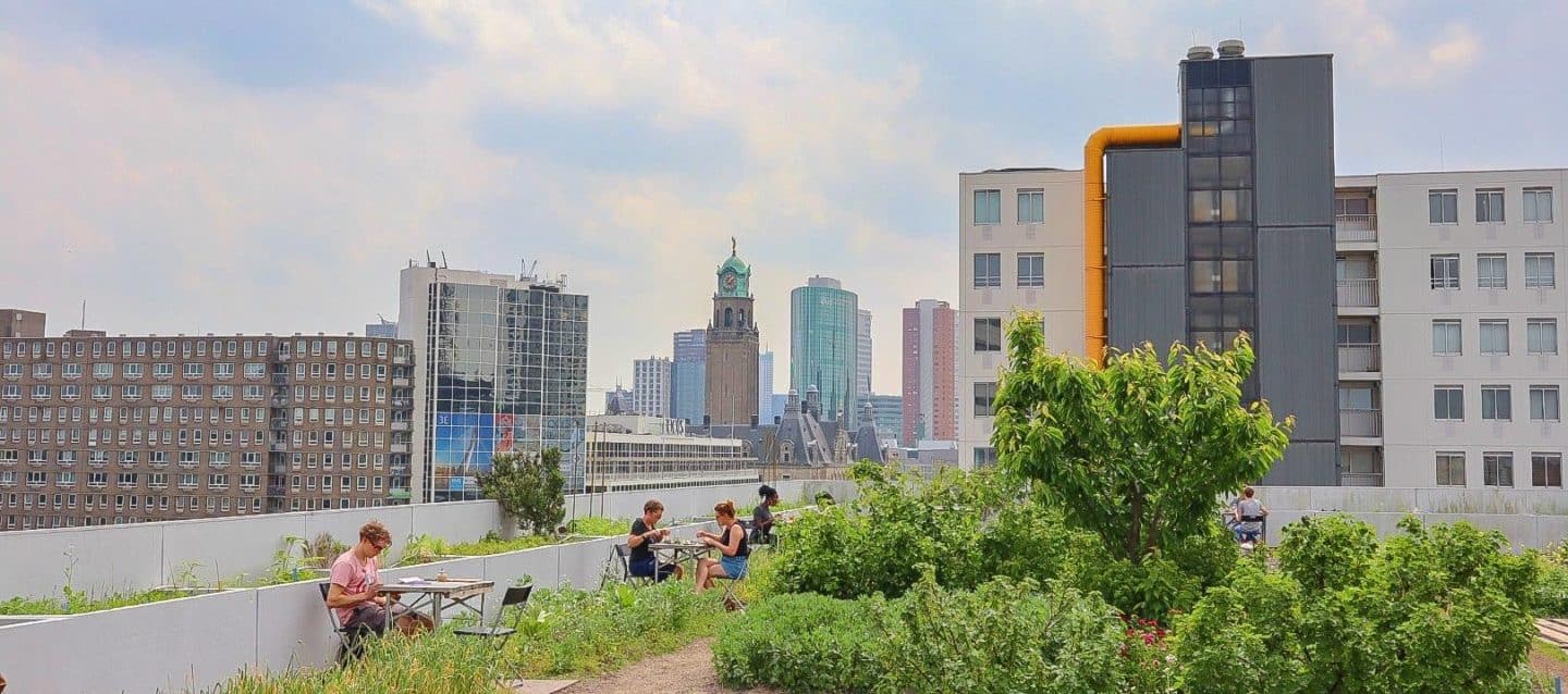 Vegan Cafes Rotterdam - Vegan Cafes Rotterdam