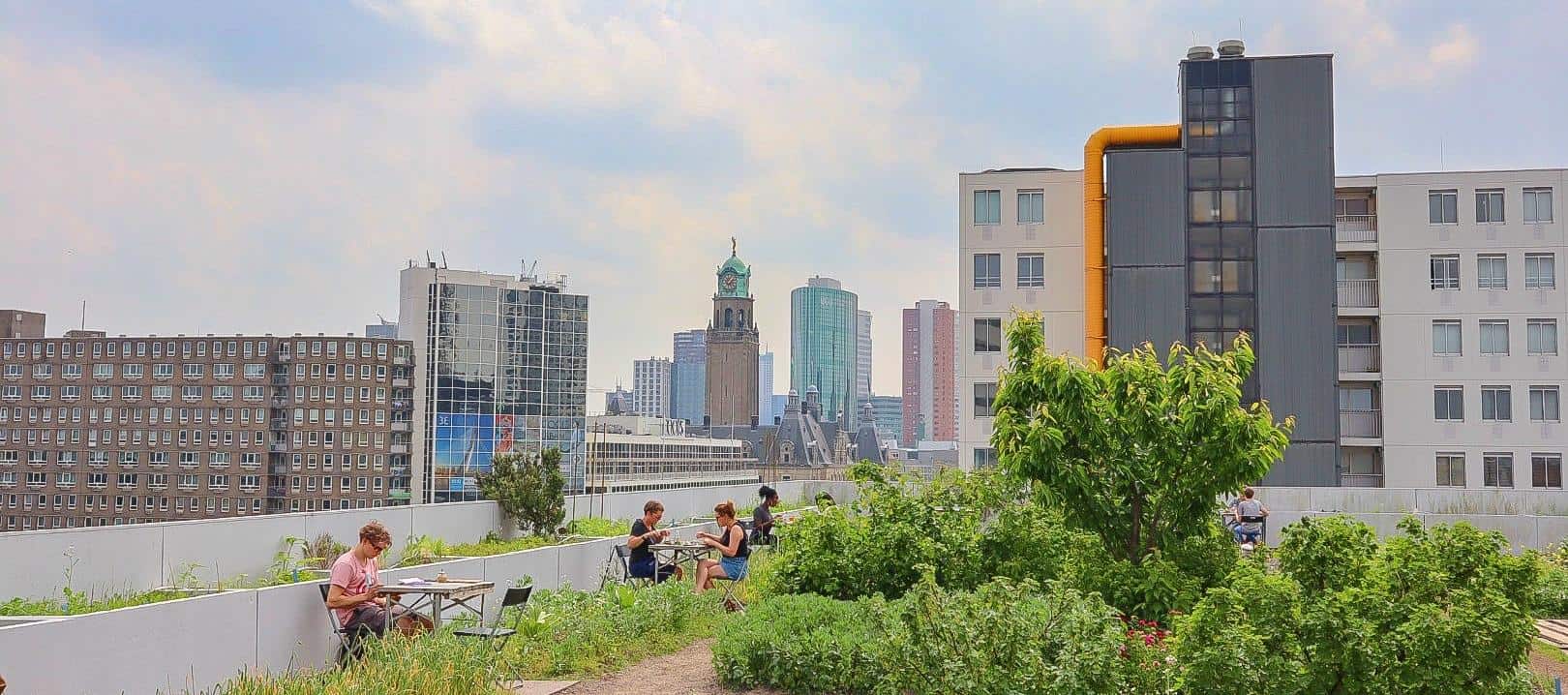 Vegan Cafes Rotterdam