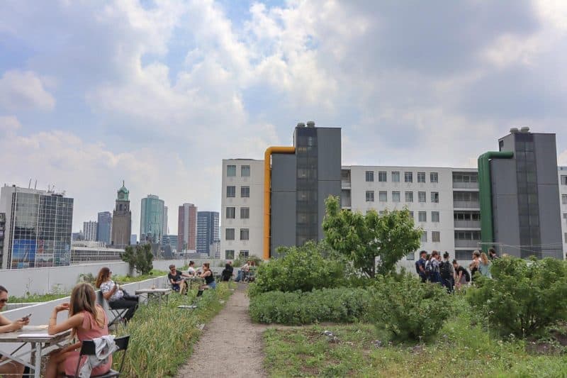 Op Het Dak Rotterdam - Vegan Cafes Rotterdam