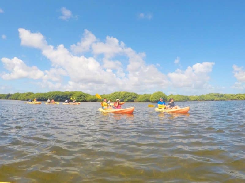 Kayaking in Antigua and Barbuda - Things To Do in Antigua Away From The Resort, Kayaking