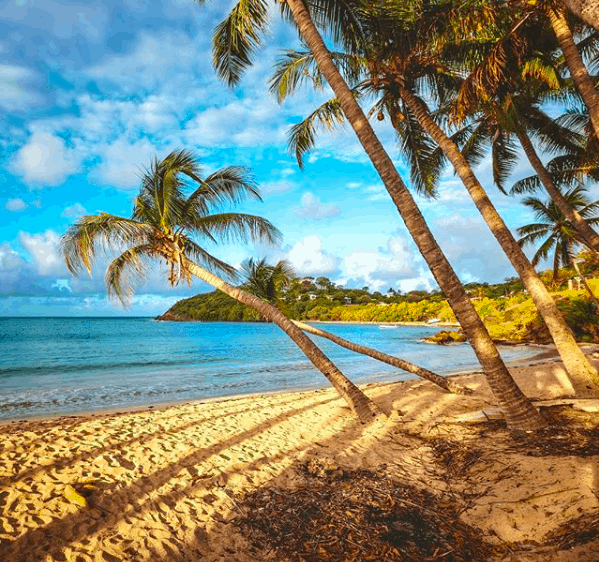 Carlisle Bay Antigua - Things To Do in Antigua Away From The Resort, beaches