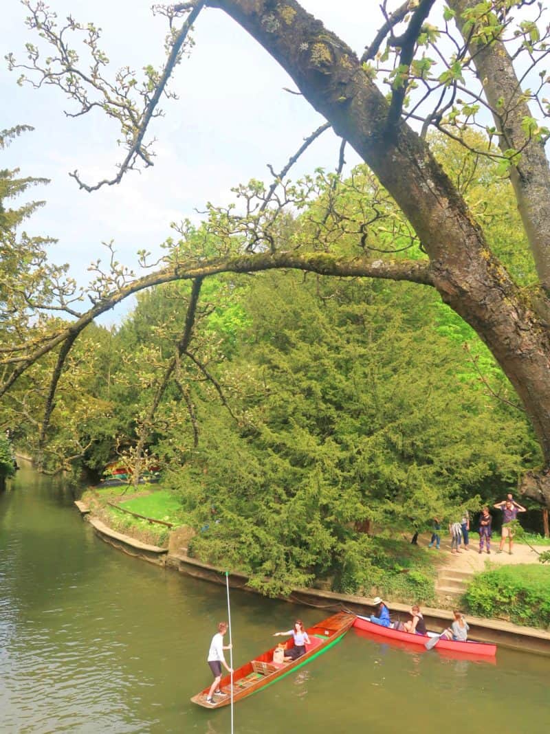 oxford punting - oxford things to do punting