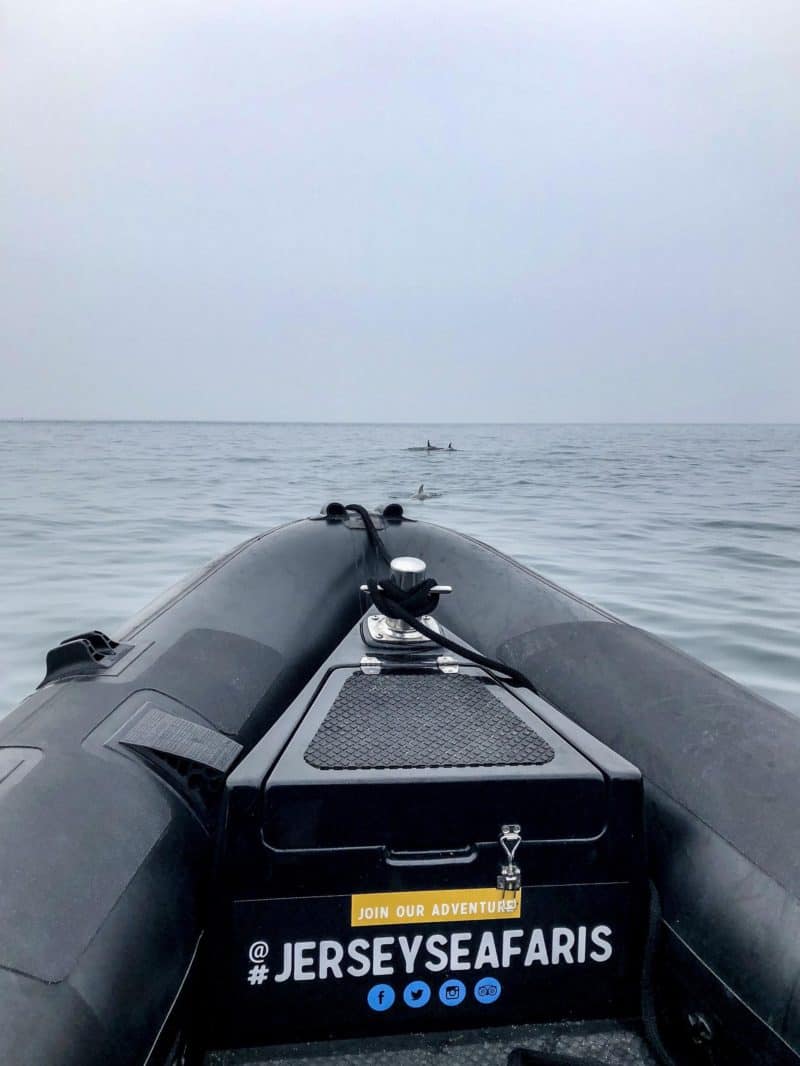 Jersey Seafaris - jersey on a budget boat trip