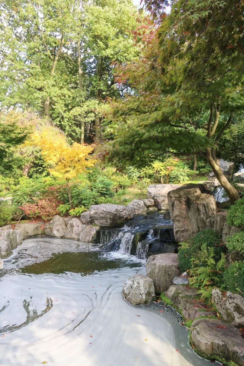 Kyoto Gardens Holland park - things to do in Kensington, Kyoto Gardens
