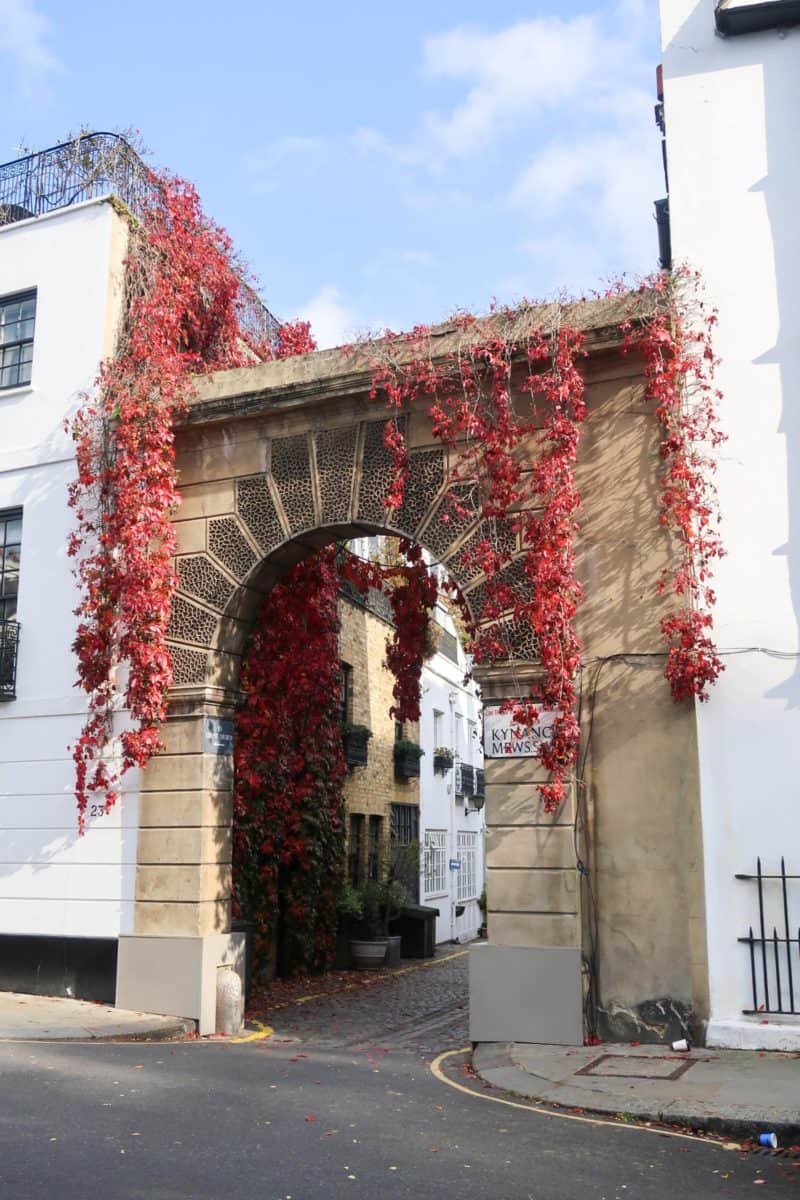 Kynance mews london - things to do in Kensington, London Mews