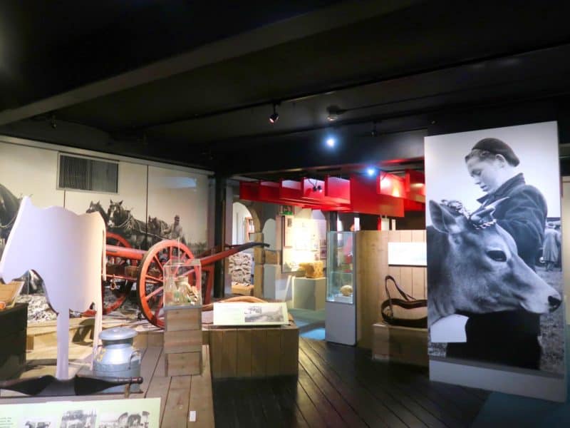 Jersey museum - jersey on a budget museum