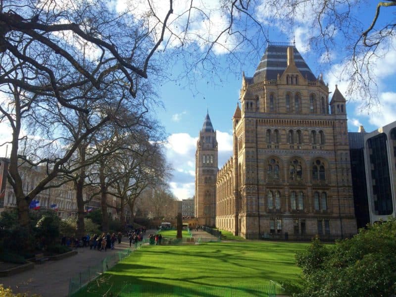 Natural history museum - Things to do in Kensington, Natural History Museum