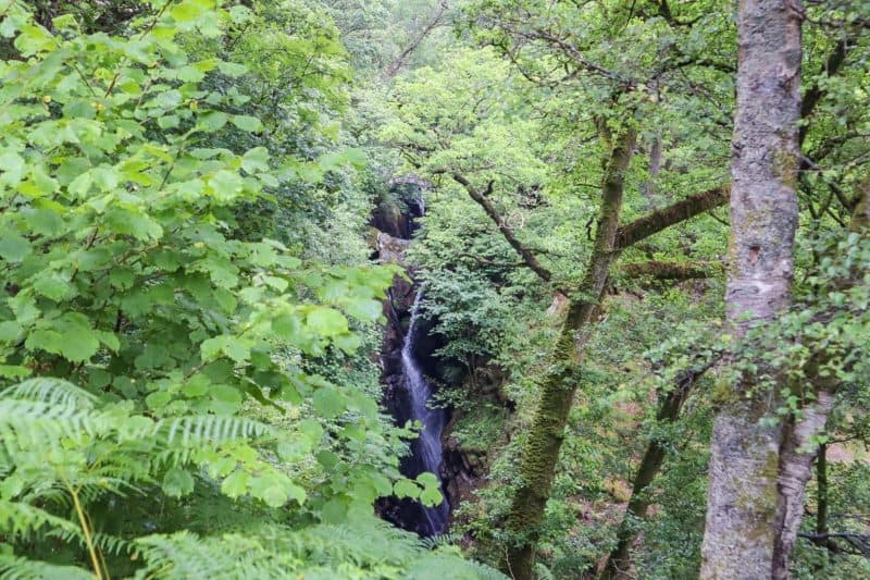 Aira Force waterfall - Rabbie's Tours Lake District Review