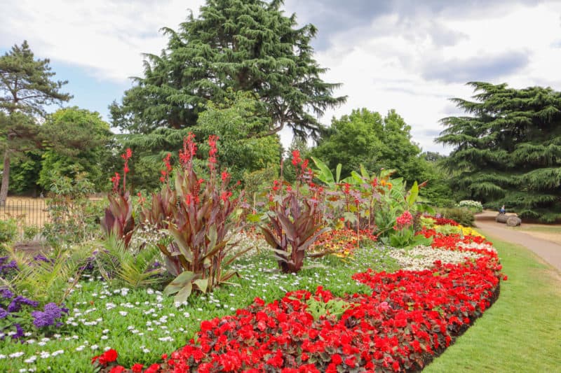 Greenwich Flower garden - things to do in Greenwich London, Flower Garden