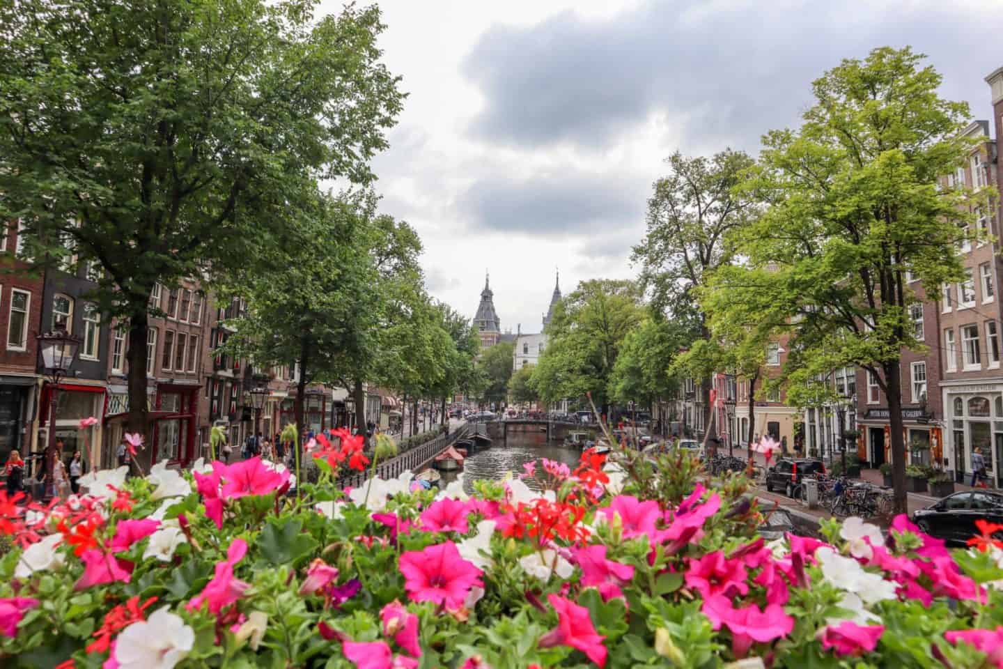 Amsterdam Canal Flowers - Amsterdam Central to Rijksmuseum, Amsterdam canal