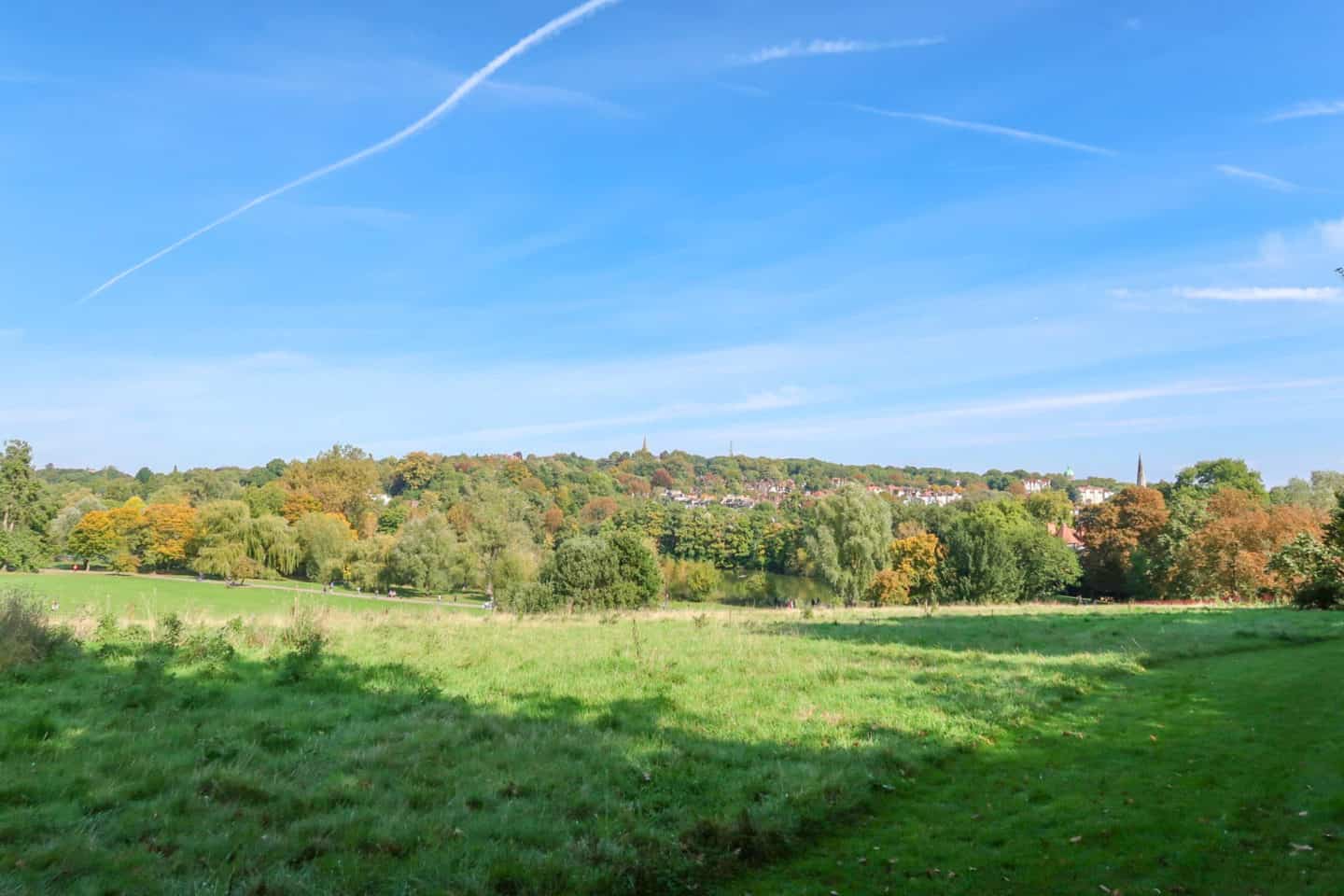 Hampstead Heath - Green fields and trees in Hampstead Heath Park | what to do on Hampstead Heath