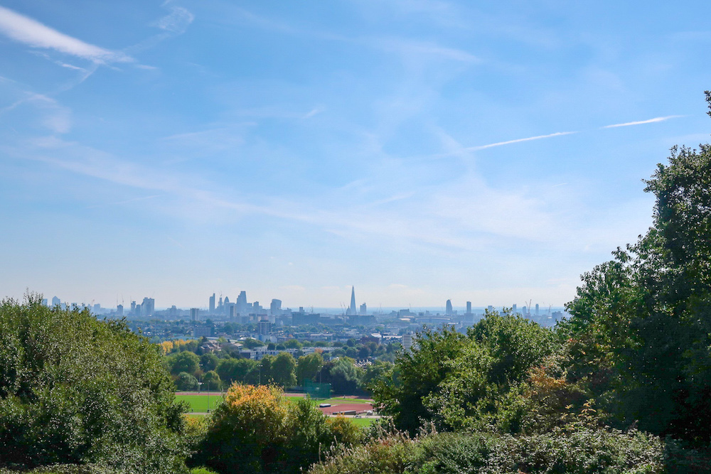 Things to do in Hampstead