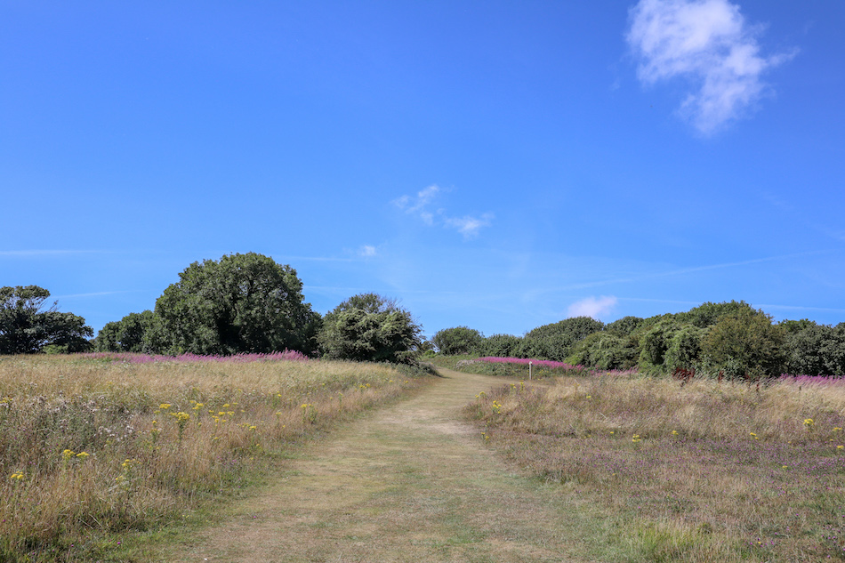 Seven Sisters Cliffs from London, walk through fields - Seven Sisters Cliffs from London, walk through fields