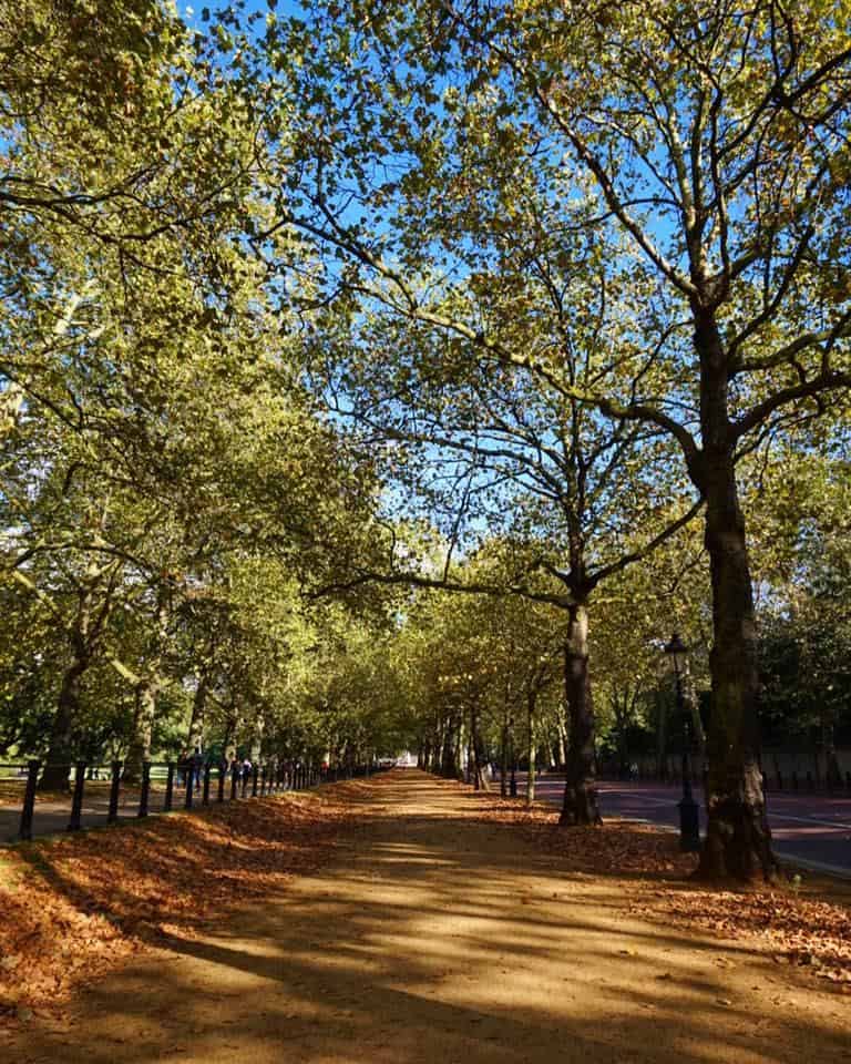 Green Park in Autumn - Autumn Walks in London, Green Park in Autumn