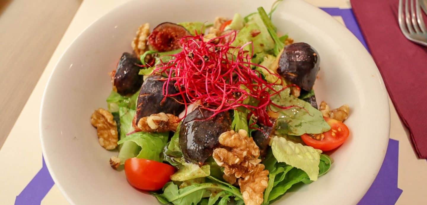 Vegan Vegetarian Restaurants Zaragoza - Vegan Vegetarian Restaurants Zaragoza