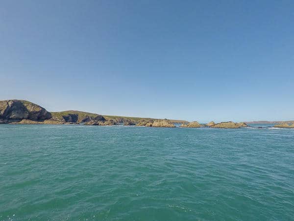 Ramsey Island Boat trip - Things to do in Broad Haven Wales Ramsey Island