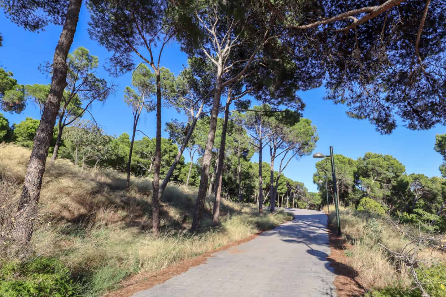 zaragoza park - things to do and see in Zaragoza