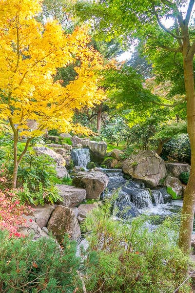 Kyoto Gardens Holland Park in Autumn - Autumn Walks in London, Kyoto Gardens Holland Park in Autumn
