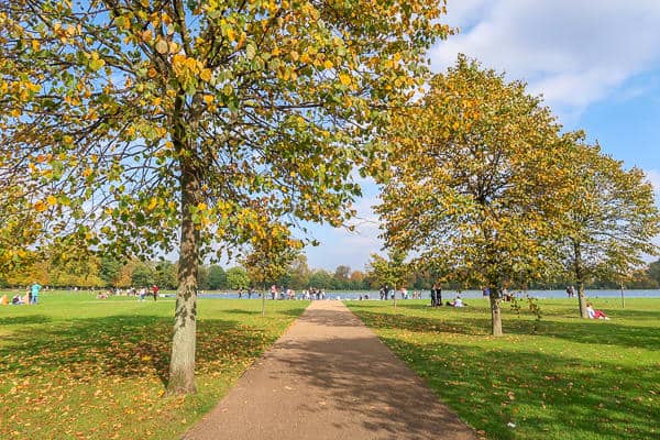 Hyde Park in Autumn - Hyde Park in Autumn