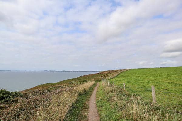 Broad Haven Coastal Path - Things to do in Broad Haven Wales Coastal Path