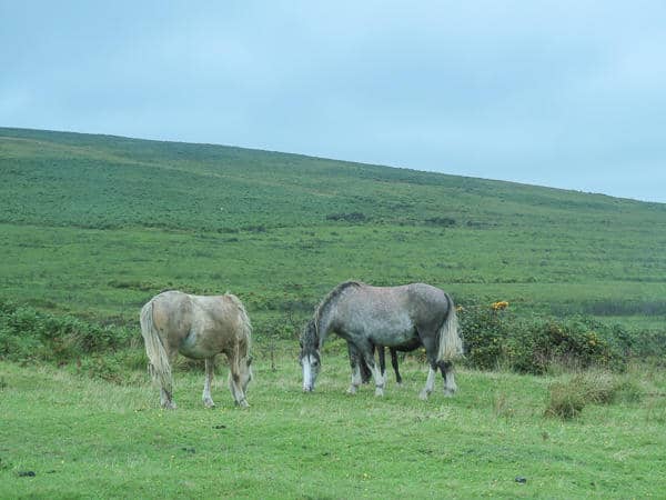 RealWalesTours34 - The Wandering Quinn Travel Blog