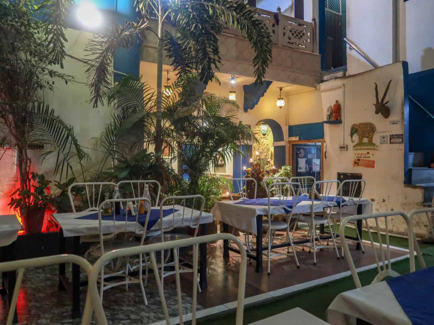 La Pizzaeria Garden Restaurant Pushkar - La Pizzaeria Garden Restaurant Pushkar