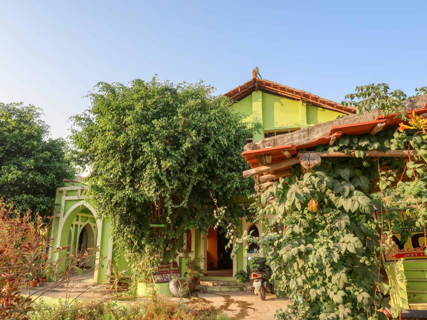Pushkar Yoga Garden - Pushkar Yoga Garden