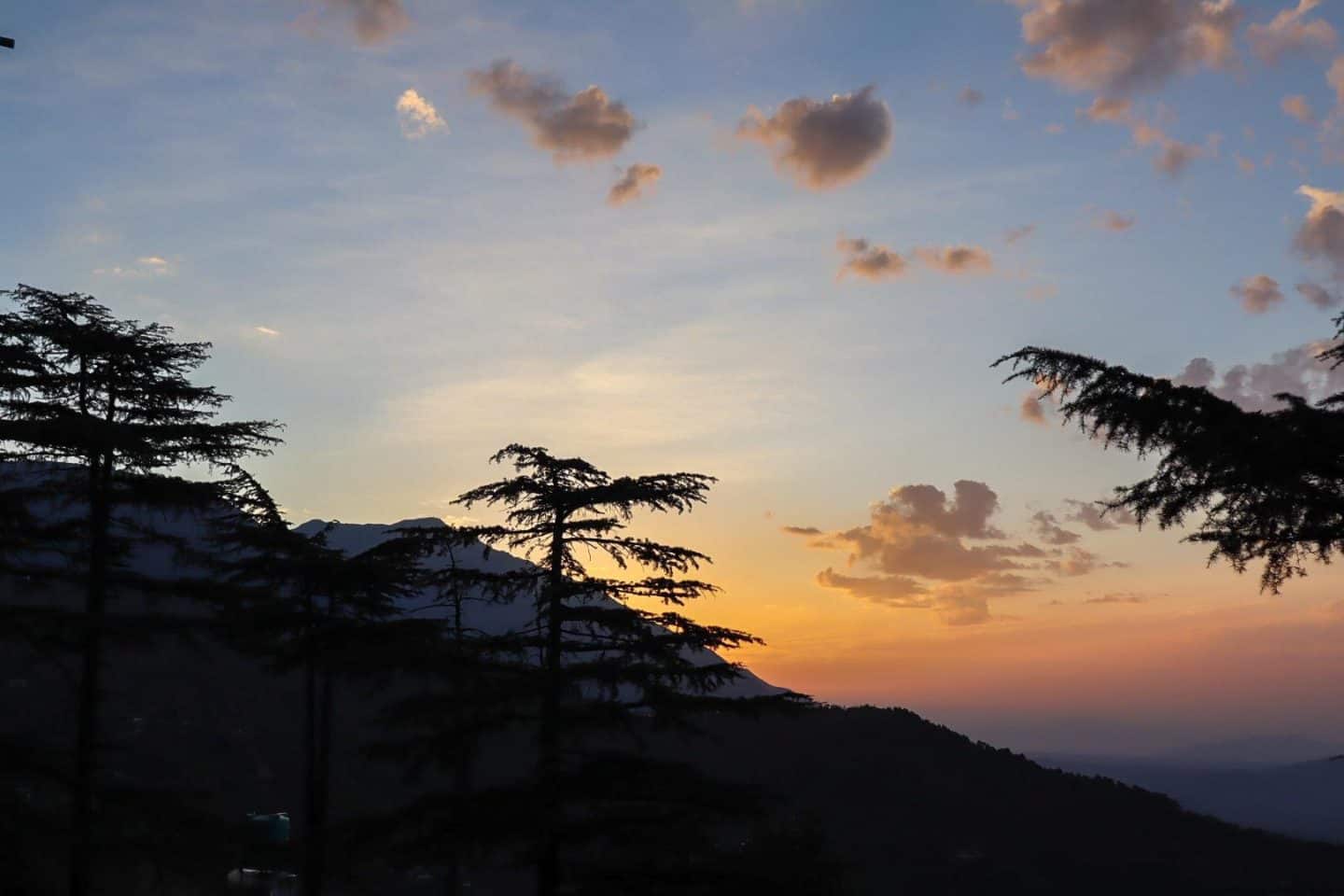 Ram Yoga House Dharamshala McLeod Ganj - Dharamshala McLeod Ganj Travel Guide Ram Yoga House