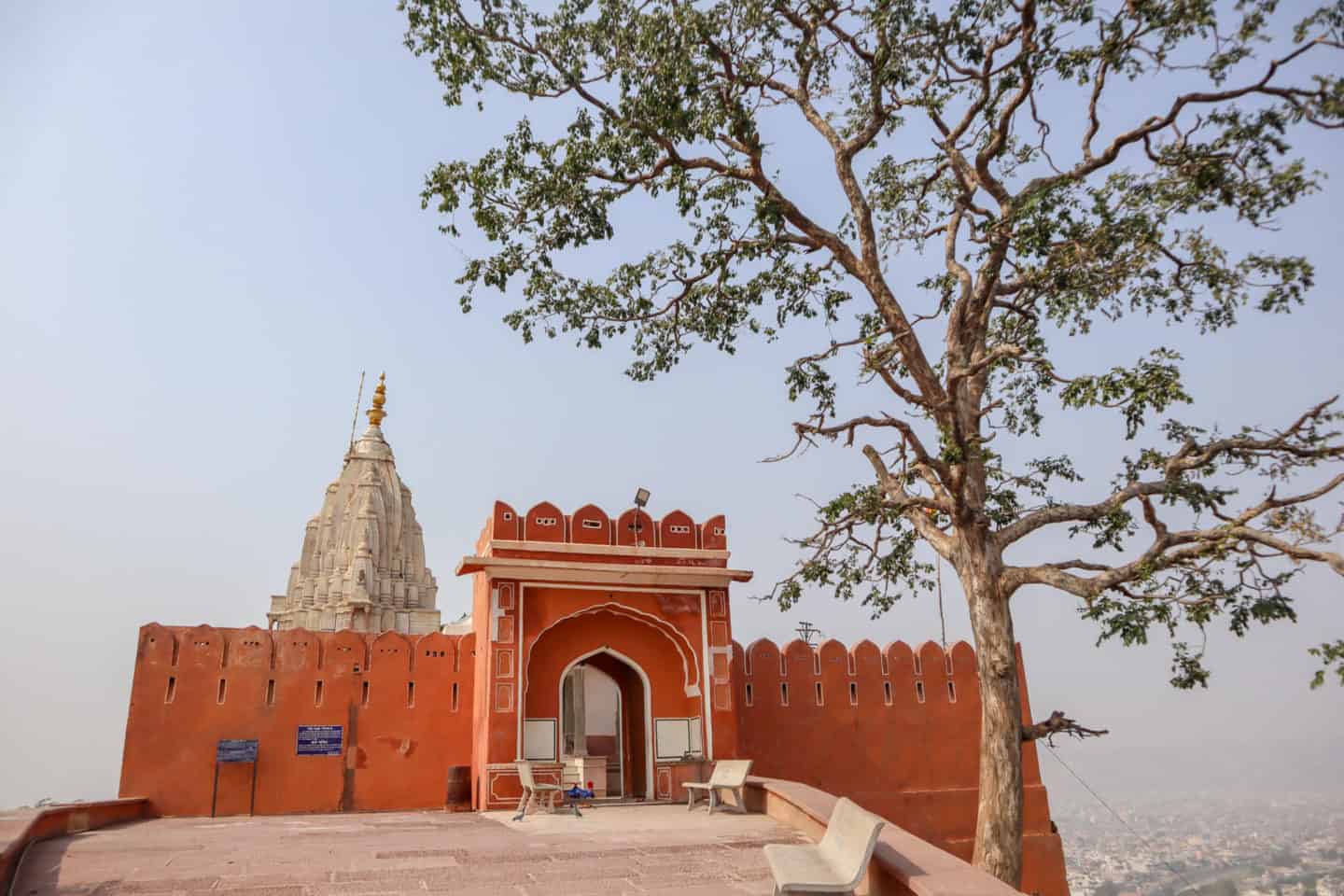 Monkey Temple Jaipur - best places to see in Jaipur Monkey Temple