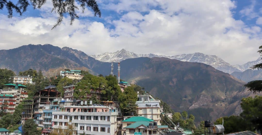 The Wandering Quinn Travel Blog Dharamshala McLeod Ganj Travel Guide