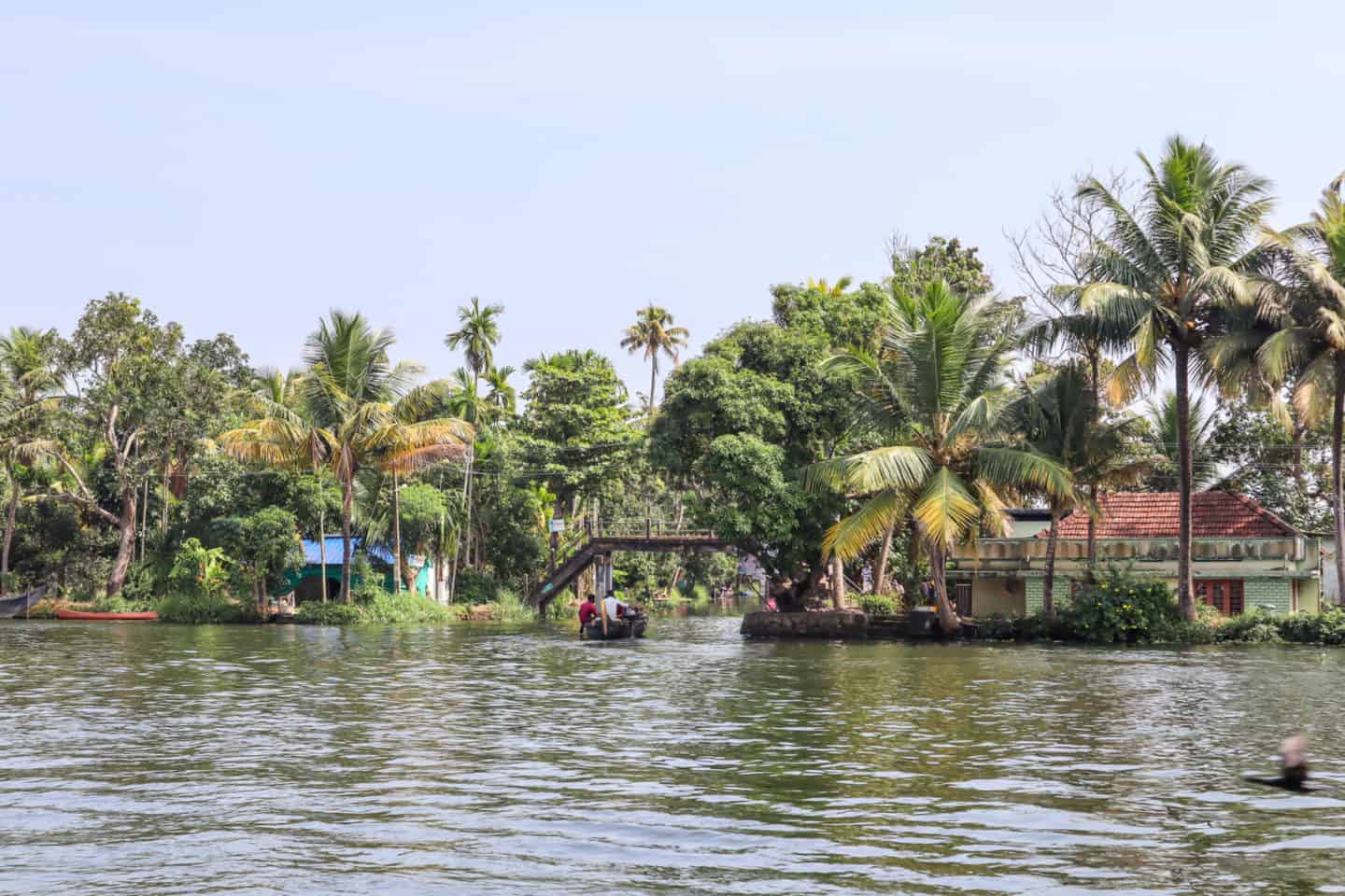 canoe Kerala Backwaters from Alleppey - The Wandering Quinn Travel Blog