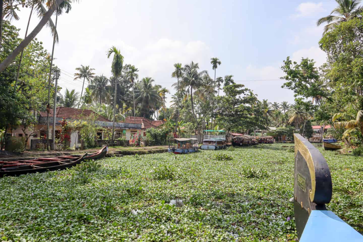 Kerala Backwaters from Alleppey - 2 week South India itinerary, Kerala backwaters