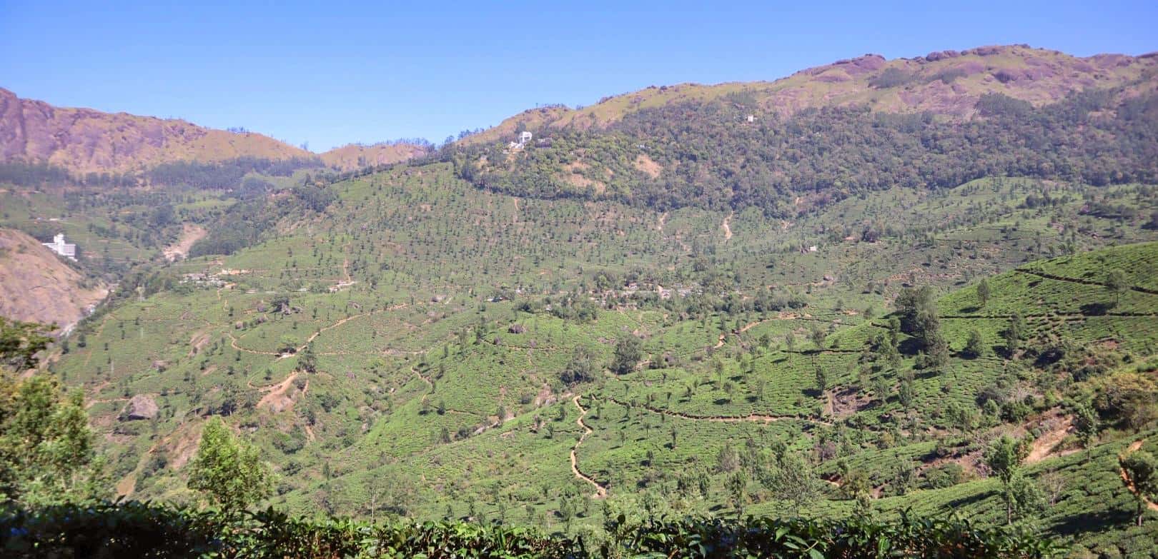 Hiking in Munnar