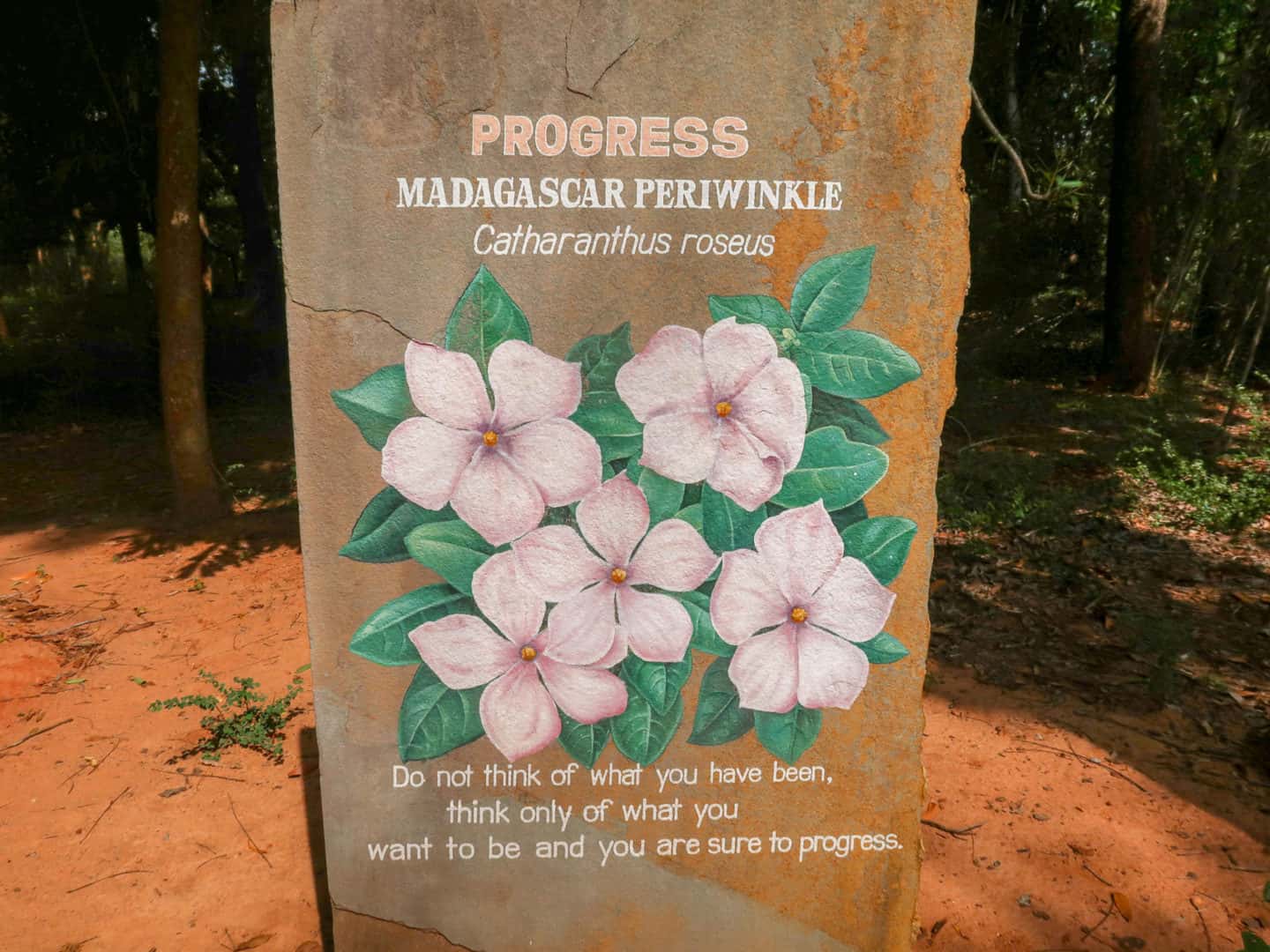Auroville Visitor Centre - Auroville Visitor Centre