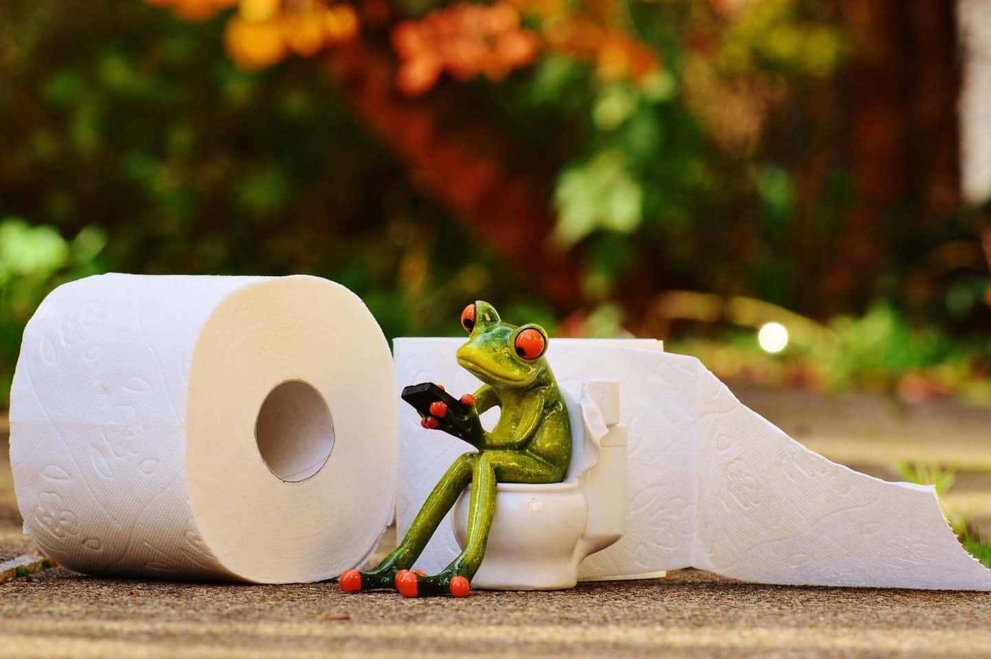 Travellers Diarrhoea in a Hostel - Travellers Diarrhoea in a Hostel