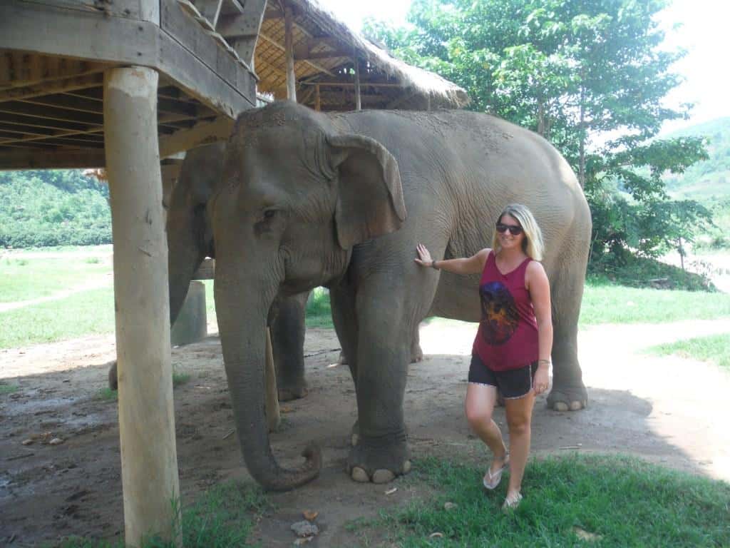 elephant nature park chiang mai - best things to do in Chiang Mai, elephant nature park