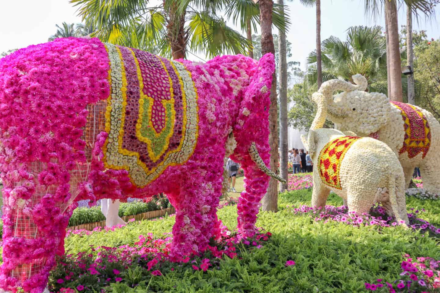 Chiang Mai Flower Festival - best things to do in Chiang Mai, festival