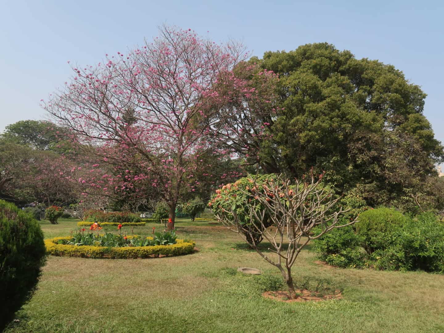 bangalore cubbon park - bangalore travel guide