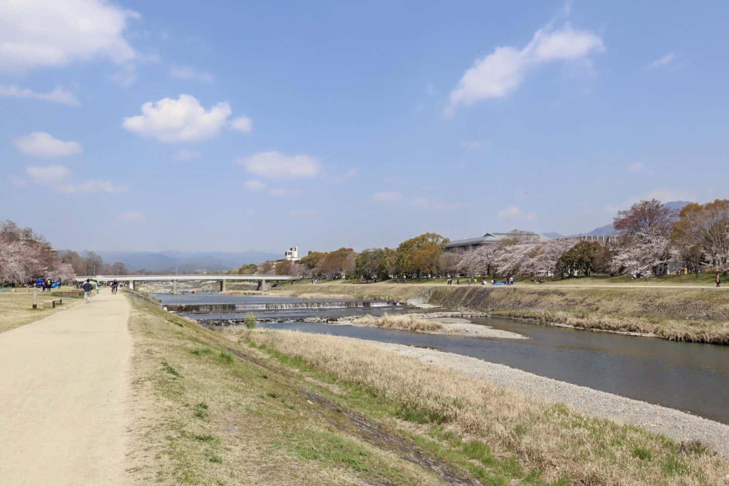 Kamo River Kyoto - The Wandering Quinn Travel Blog