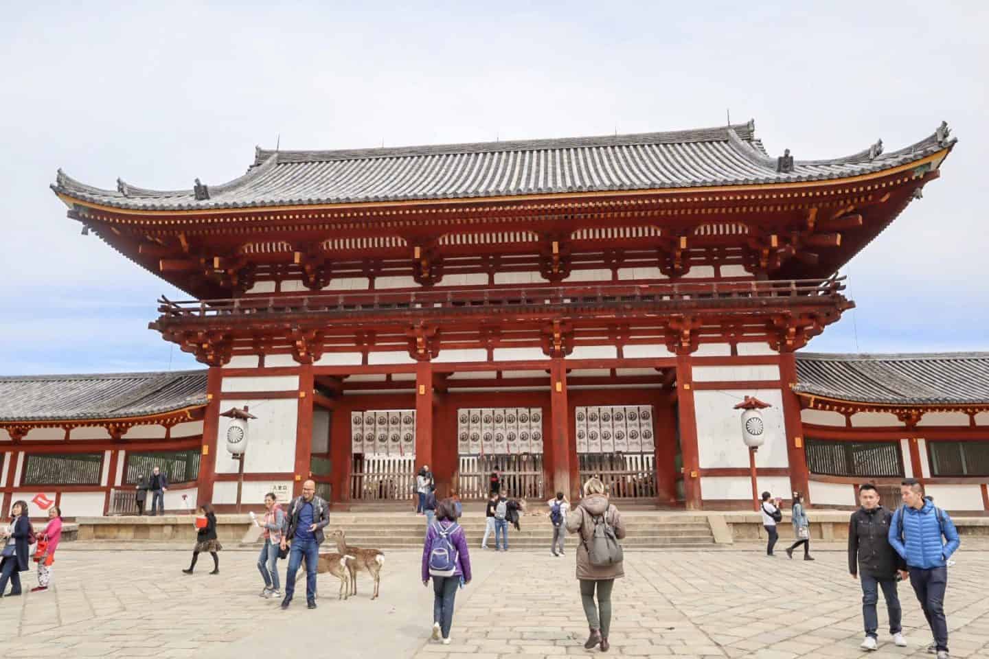 Nara Buddha Temple - 2 week japan itinerary, things to do in nara