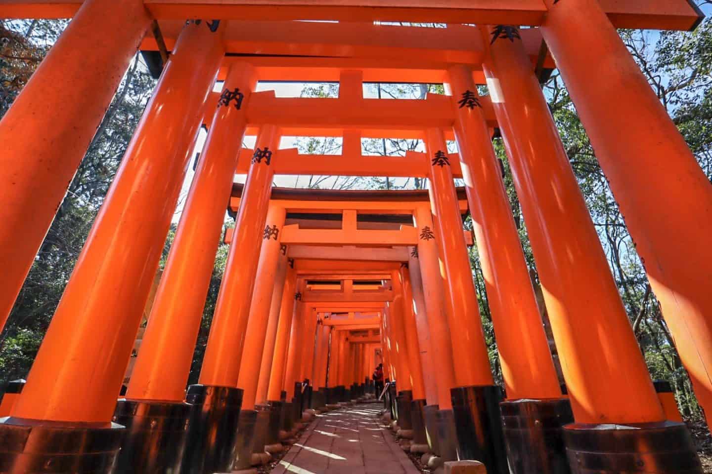 -Fushimi Inari Shrine Torii Gates Kyoto - The Wandering Quinn Travel Blog